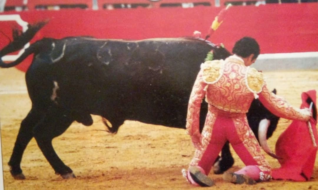 Imagen 21