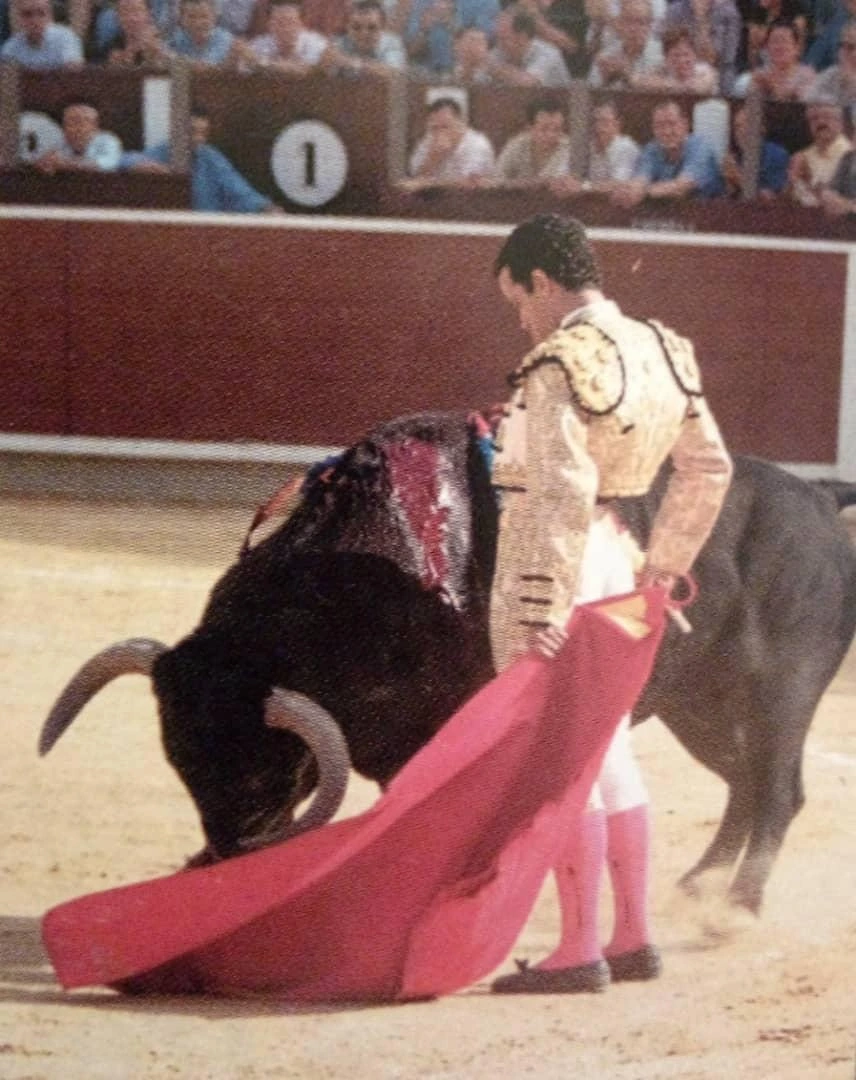 Imagen 22