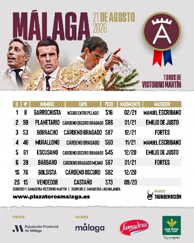 Imagen 7