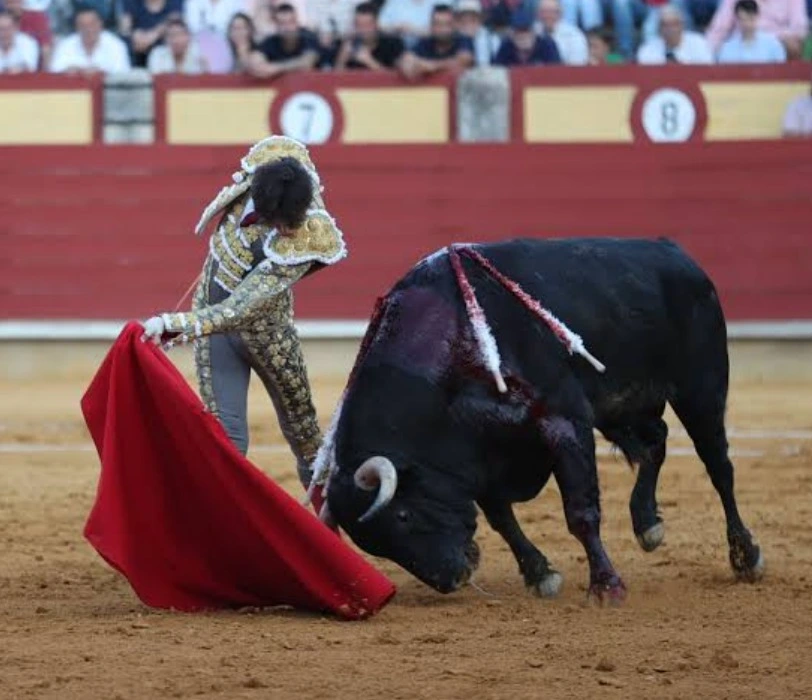 Imagen 1