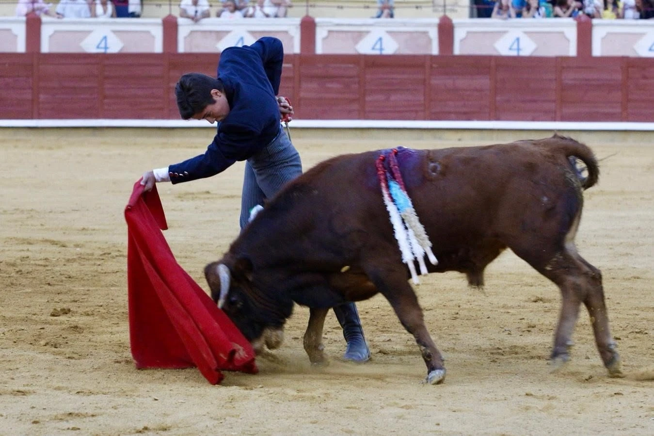 Imagen 2