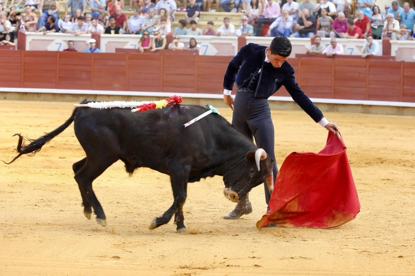 Imagen 3