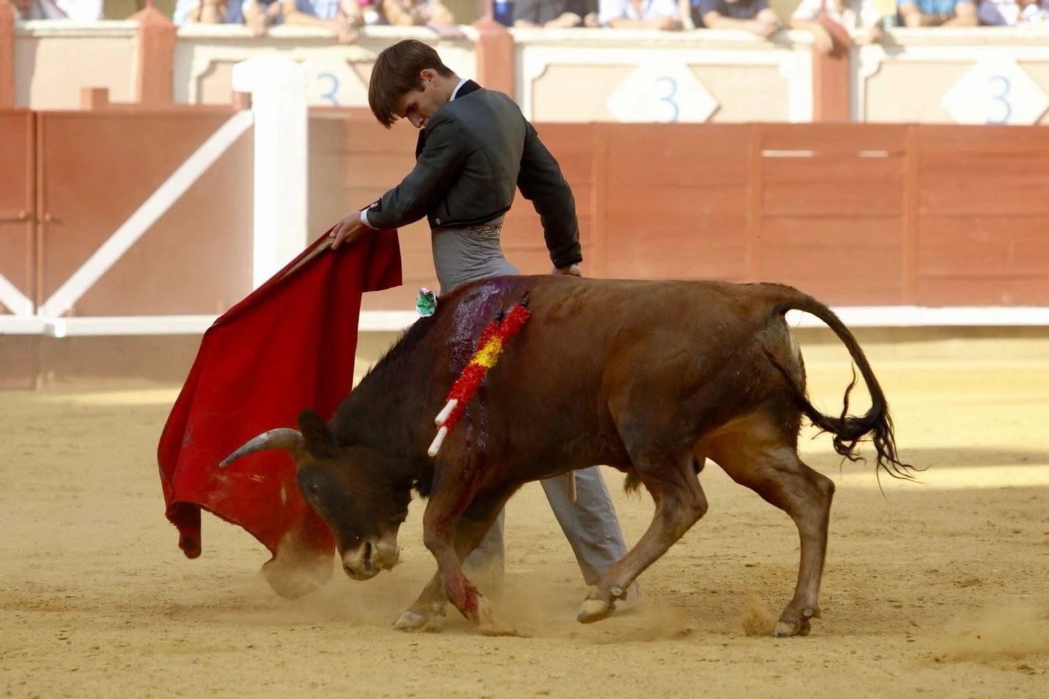 Imagen 5