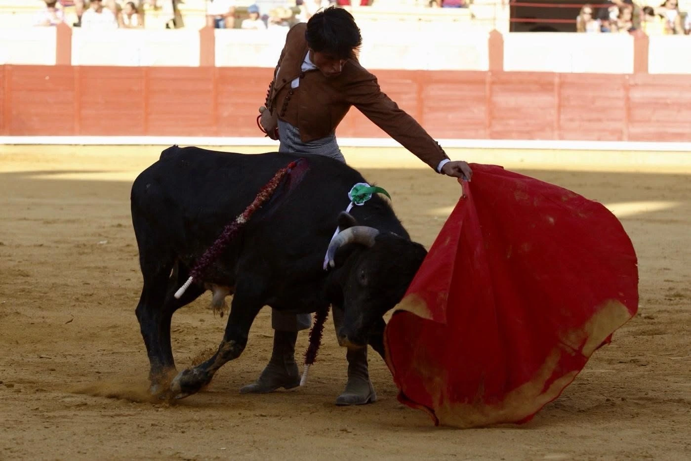 Imagen 6