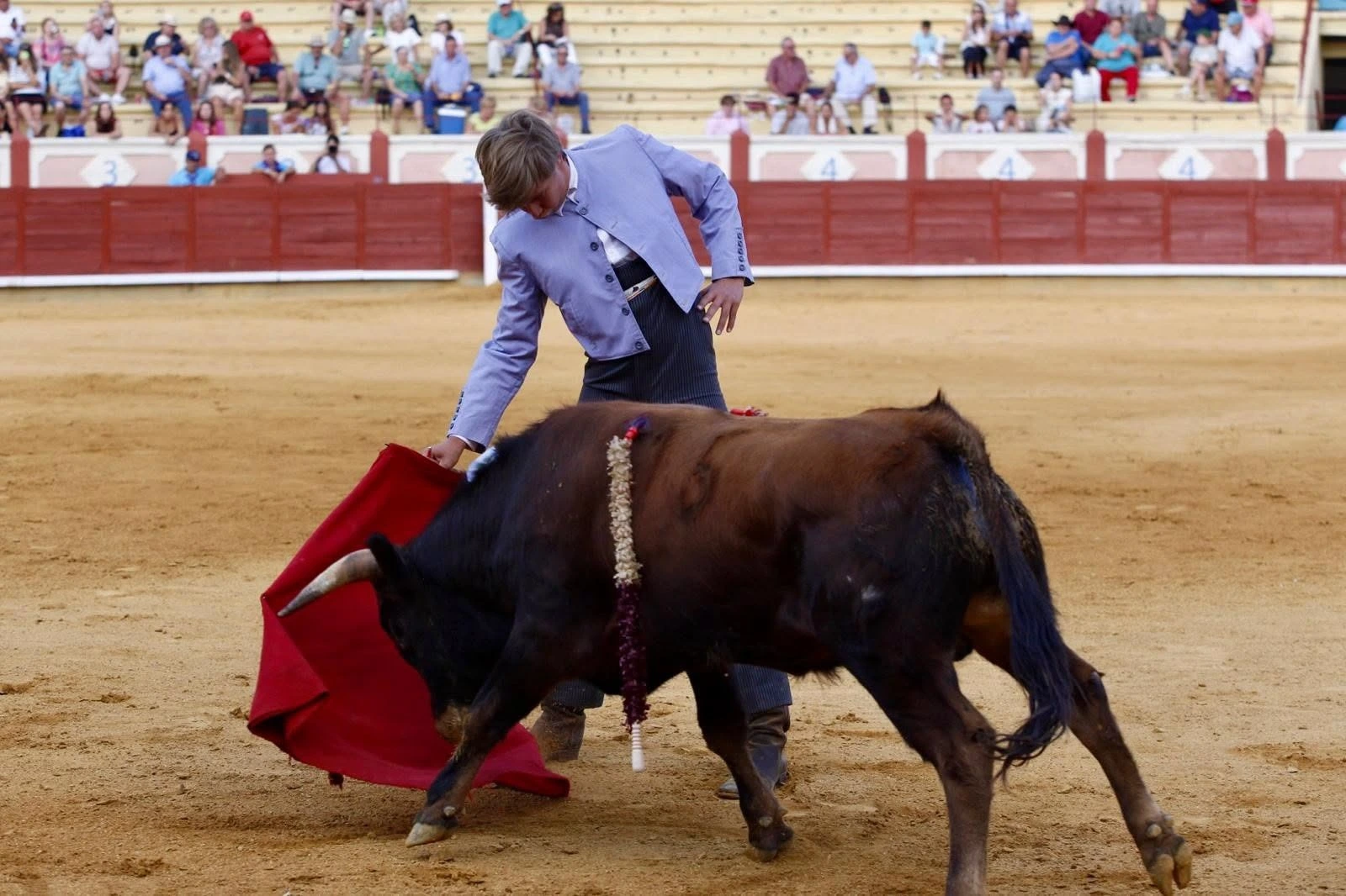 Imagen 7
