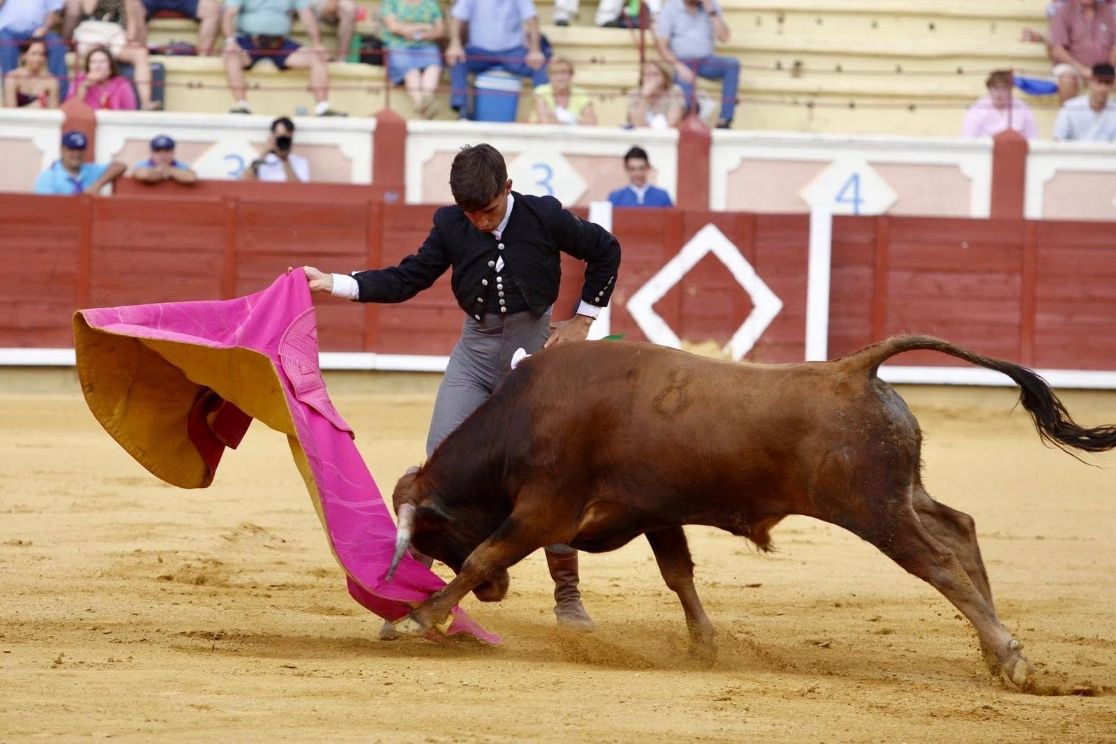 Imagen 10
