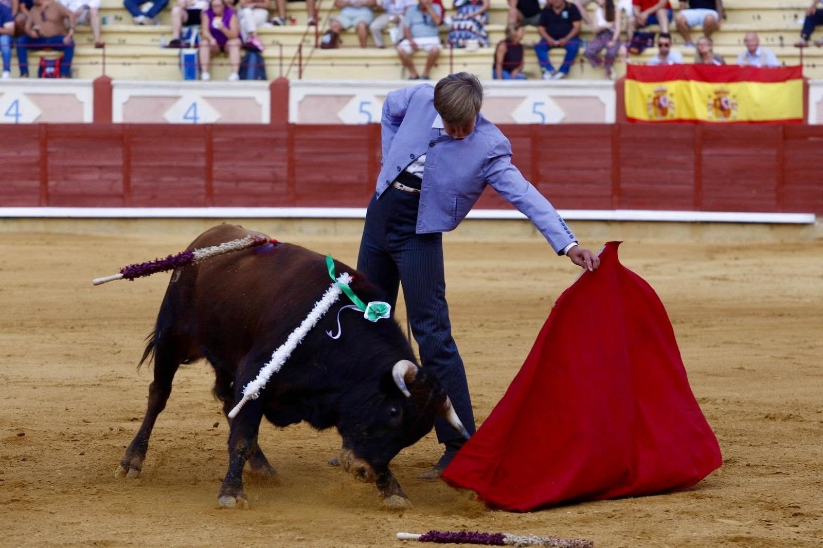 Imagen 11