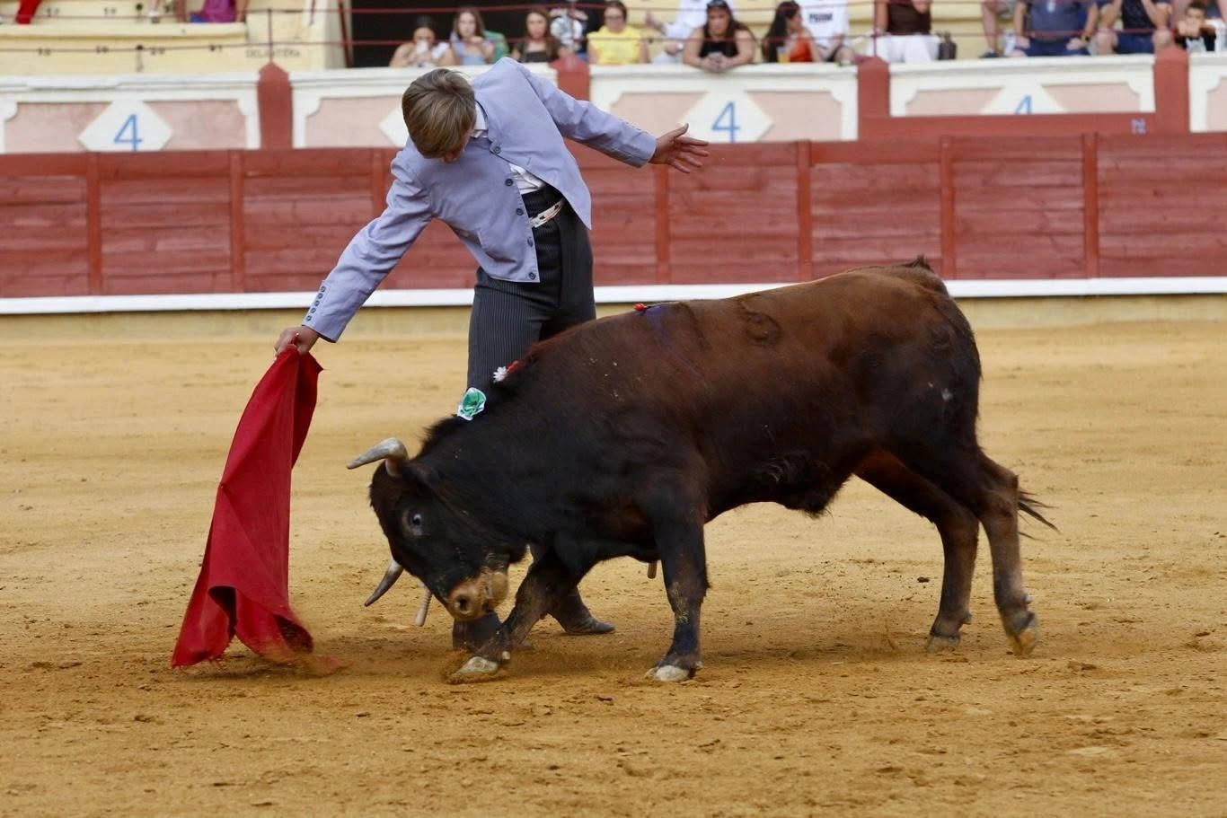 Imagen 16