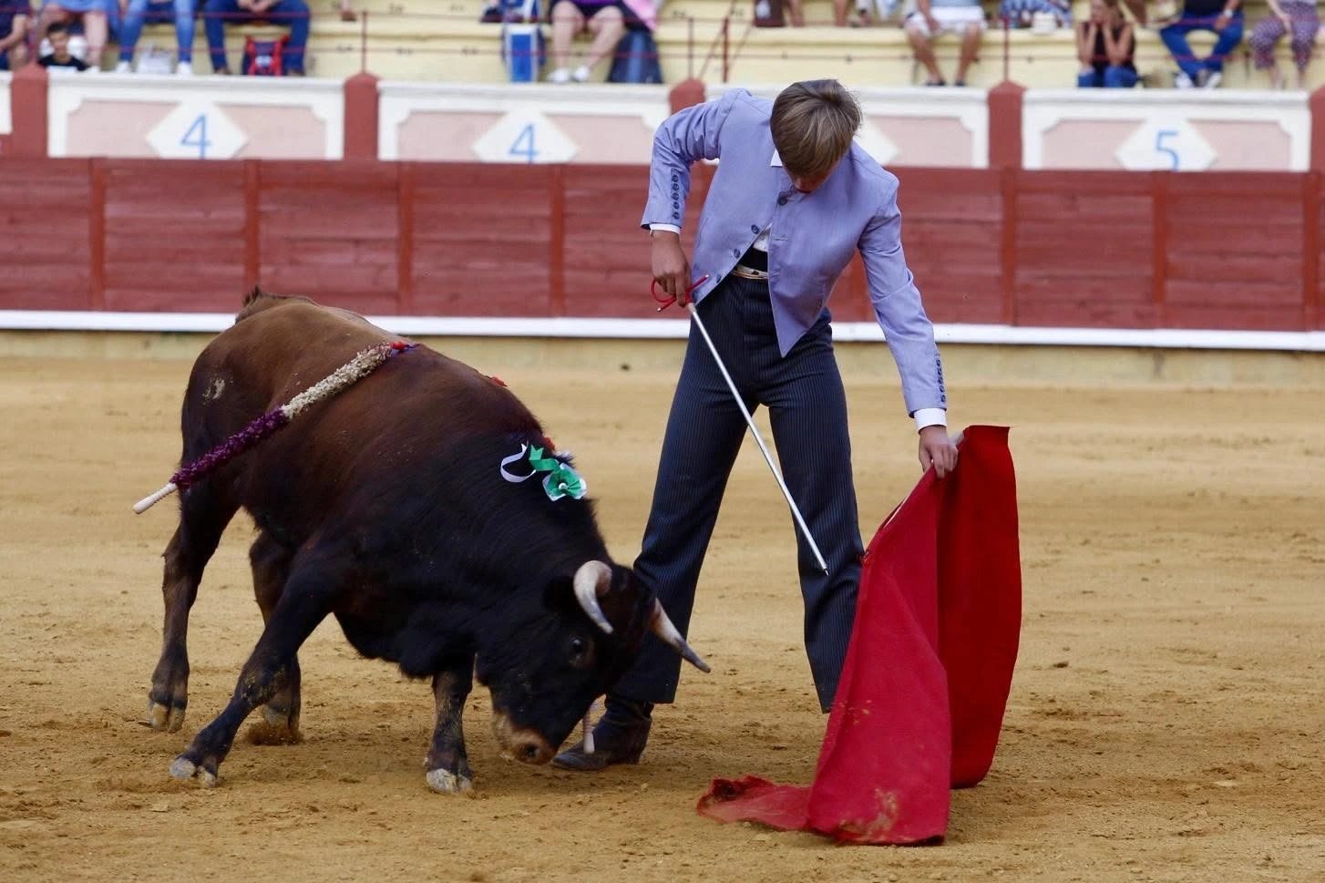 Imagen 17