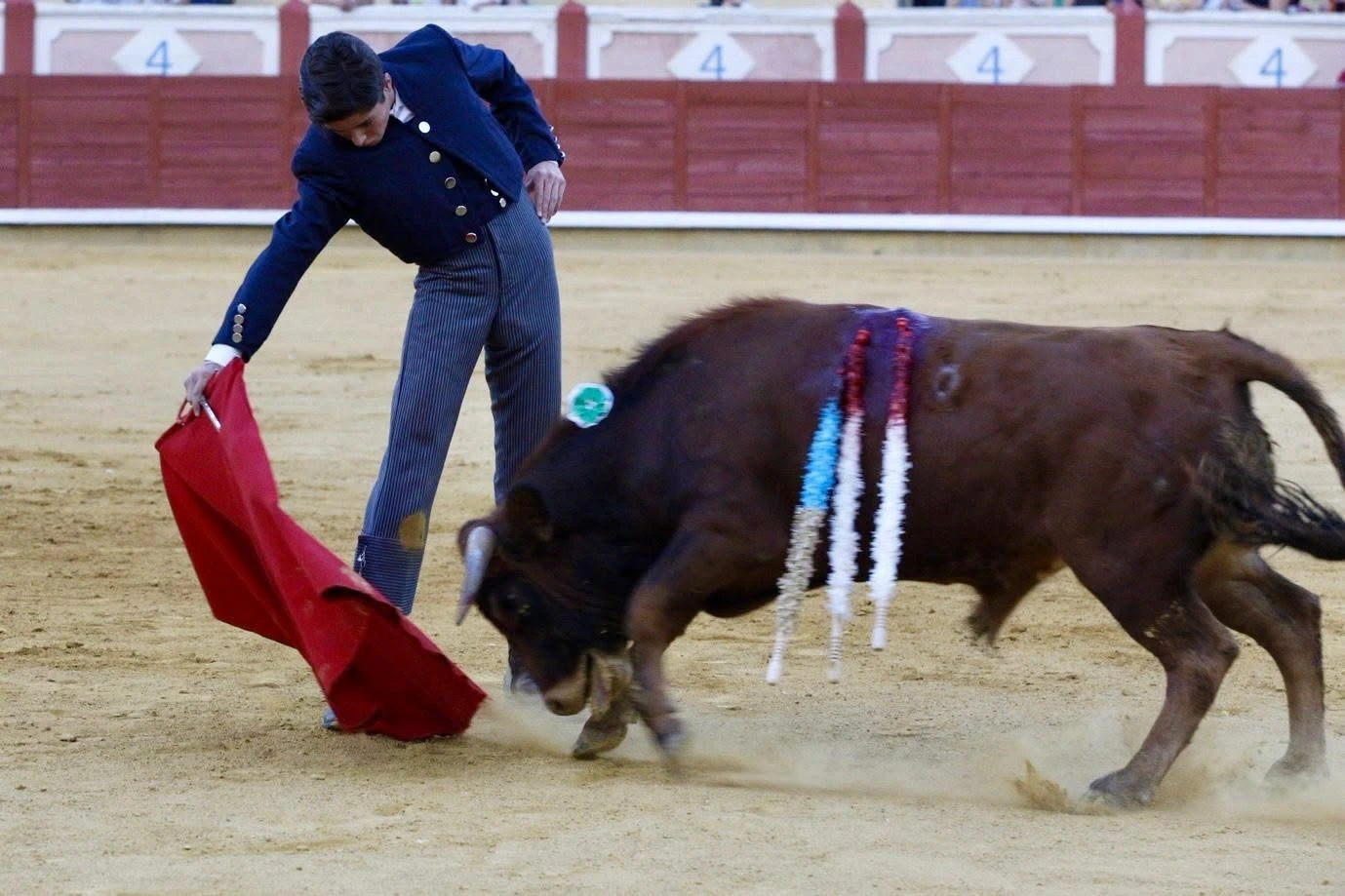 Imagen 21