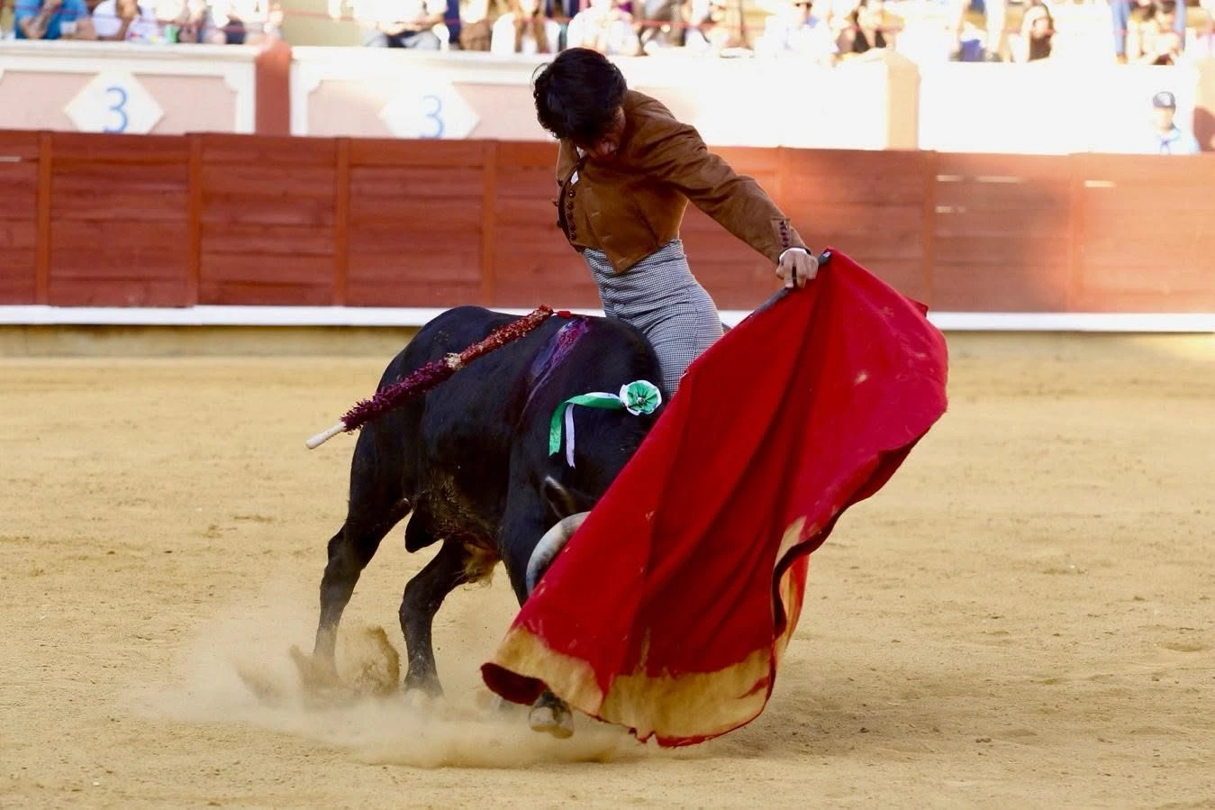 Imagen 22