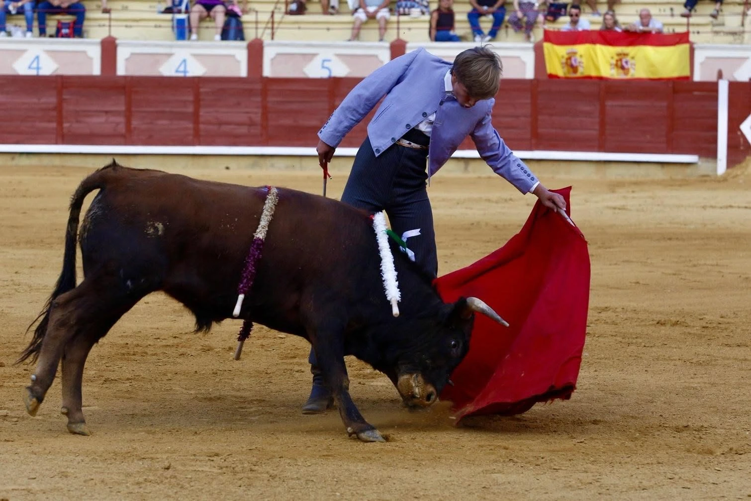 Imagen 23