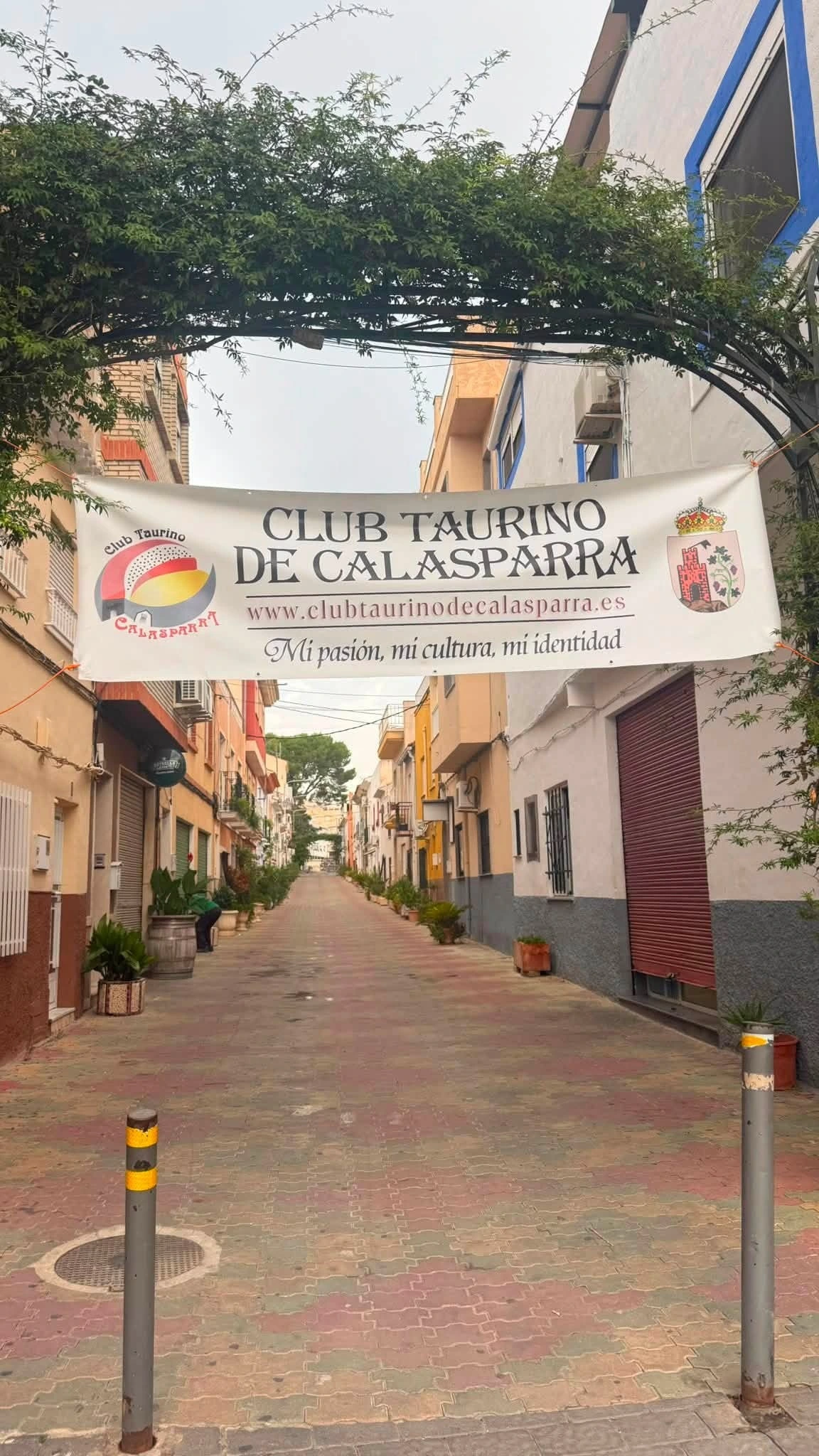Imagen 4