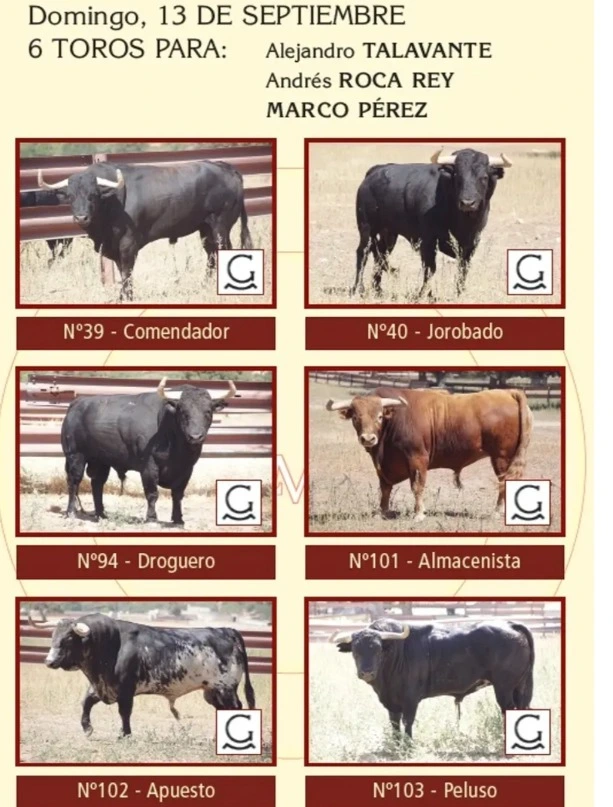 Imagen 3