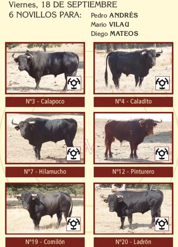 Imagen 4