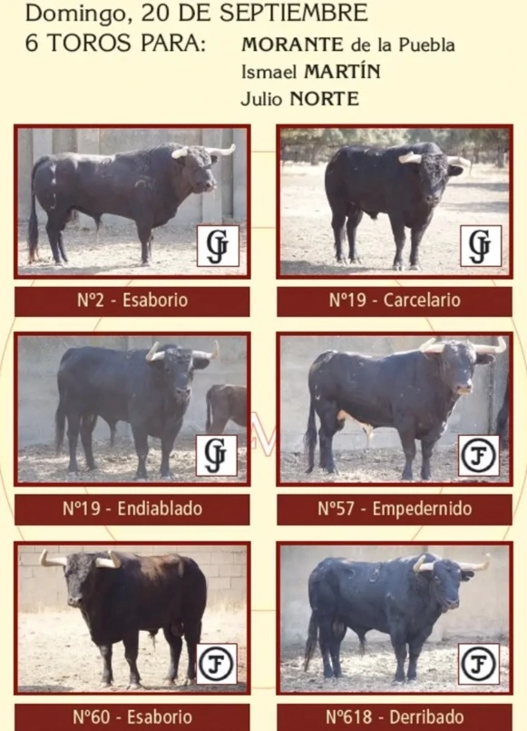 Imagen 6