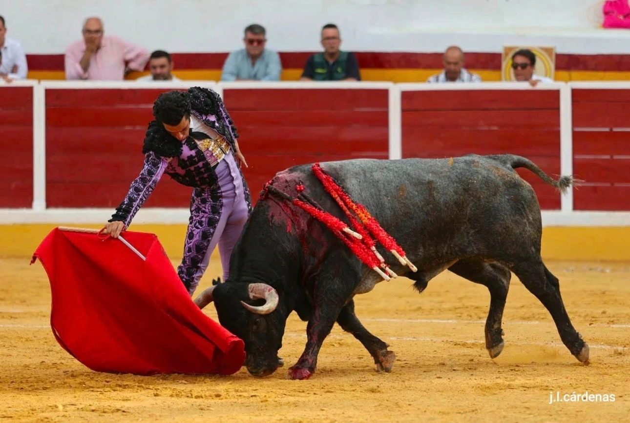 Imagen 1