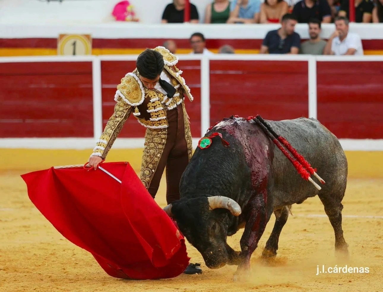 Imagen 3