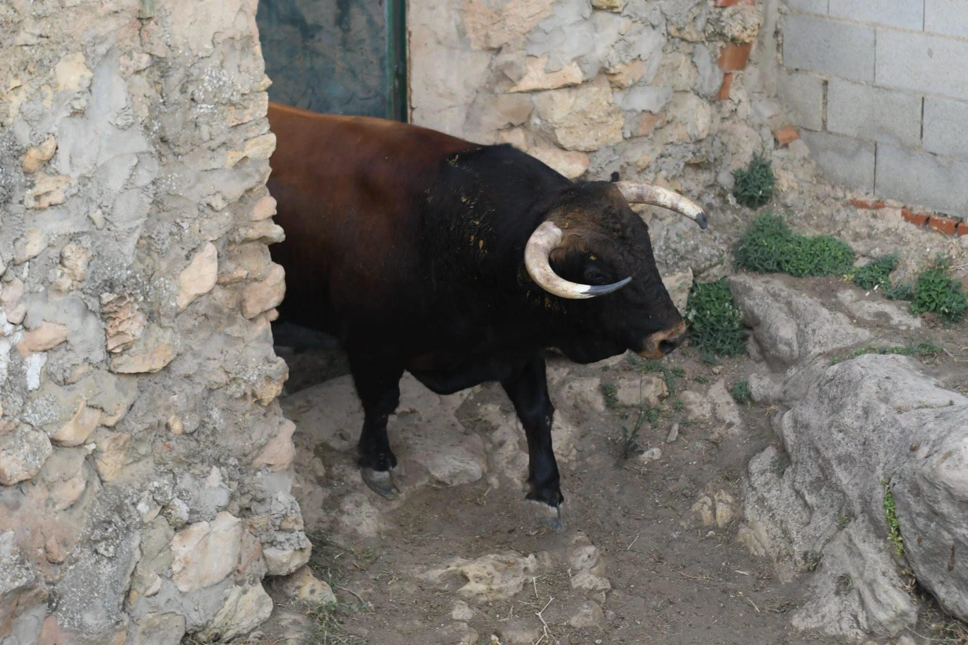 Imagen 8