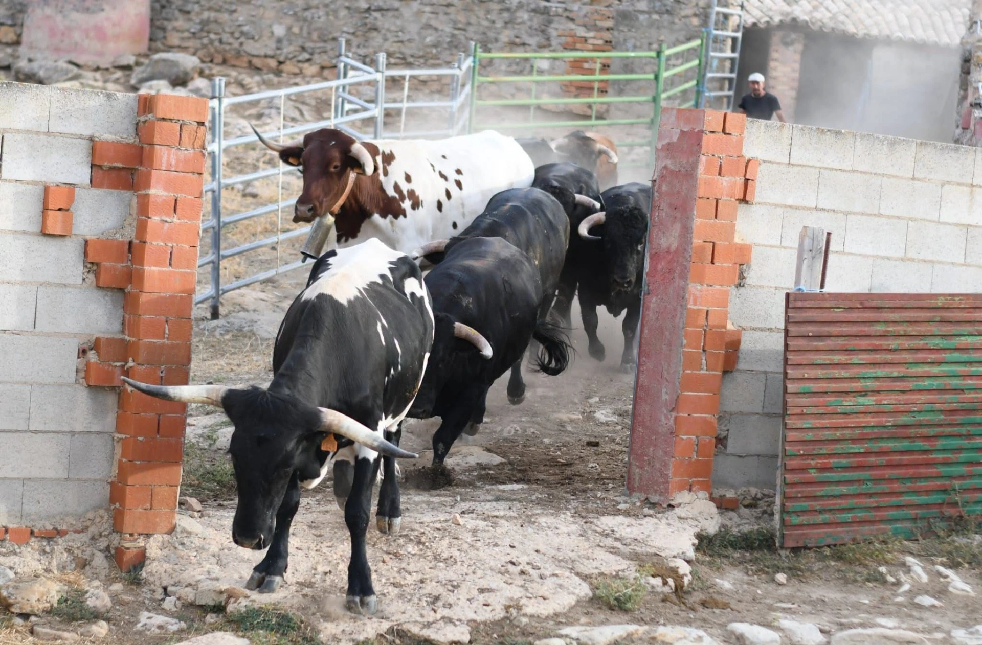 Imagen 14