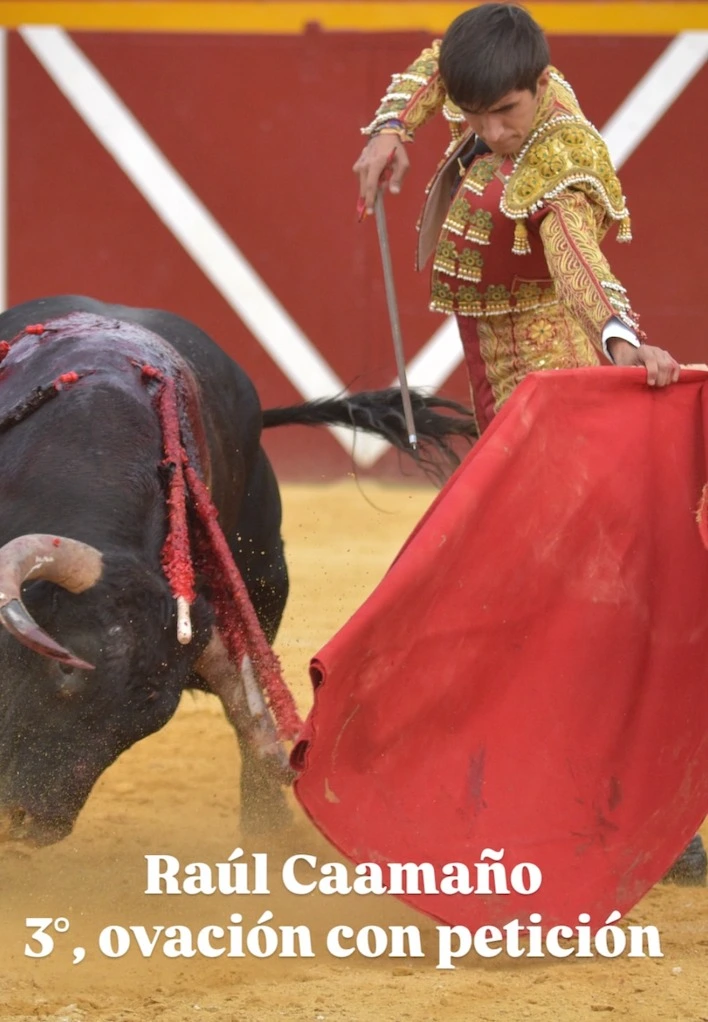 Imagen 3