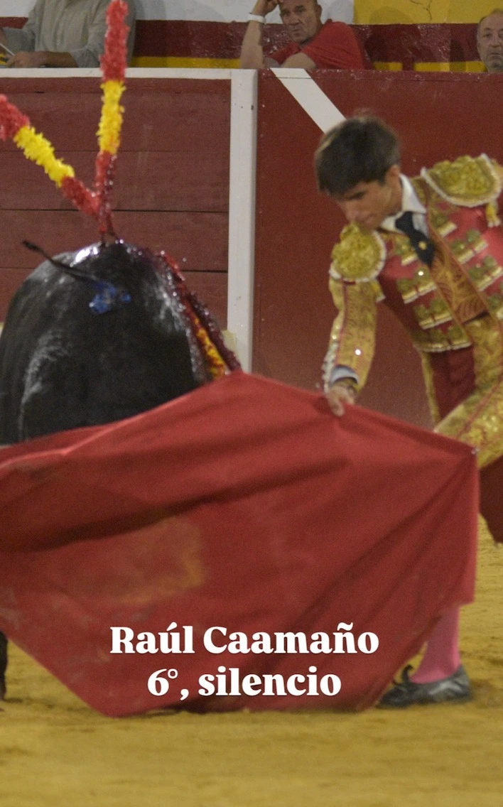 Imagen 6