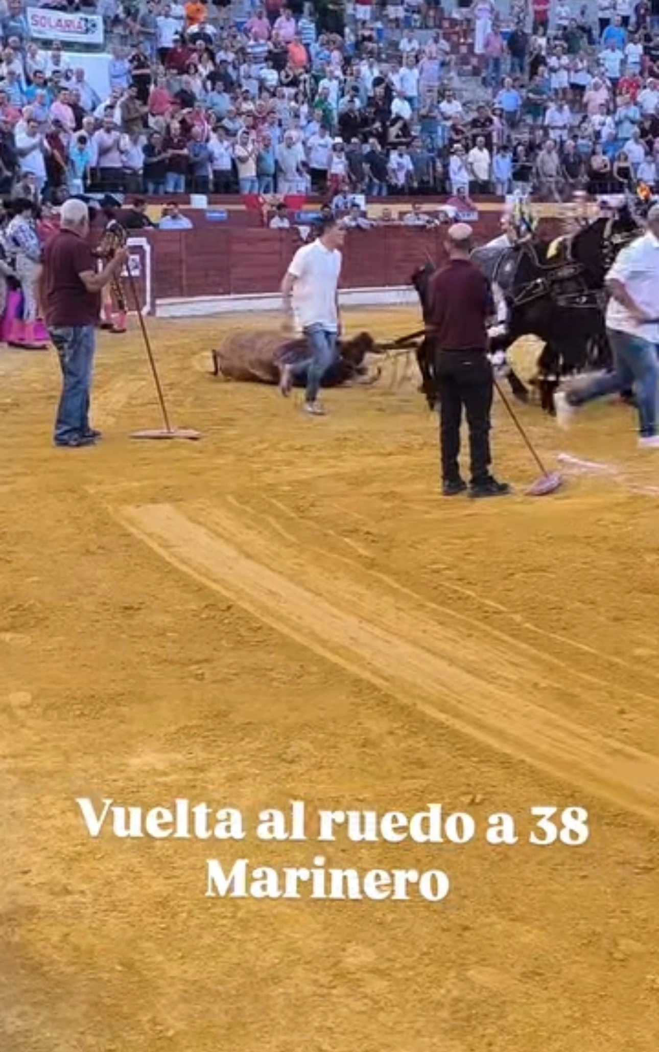 Imagen 4