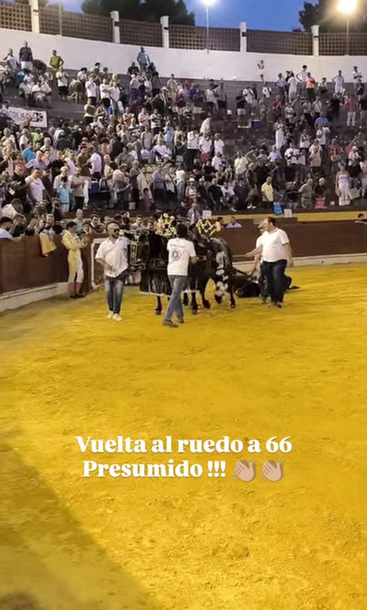 Imagen 7