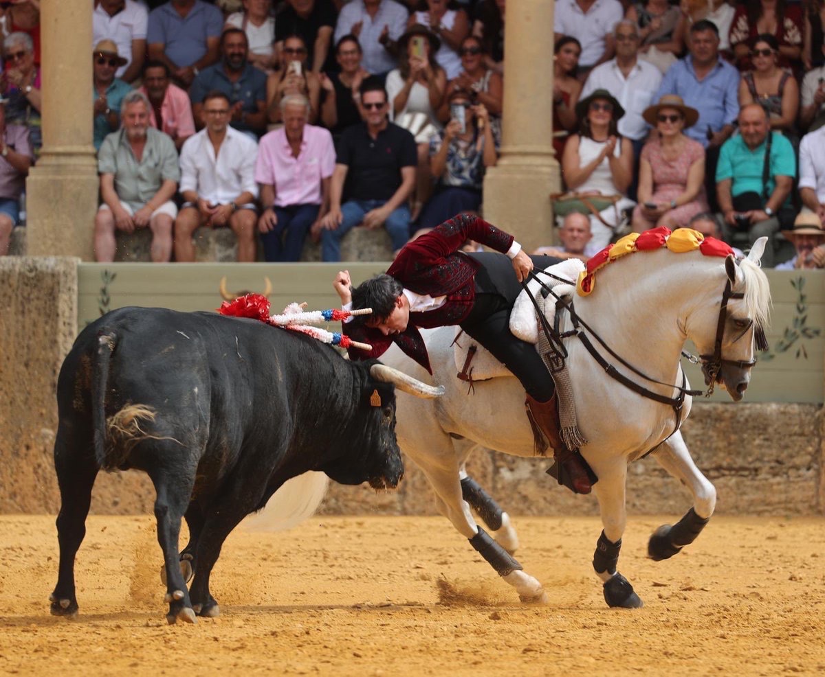 Imagen 2