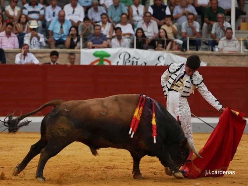 Villaseca: Jorge Hurtado deja la faena de la tarde ante un buen ‘Chorlito’ de Mayalde