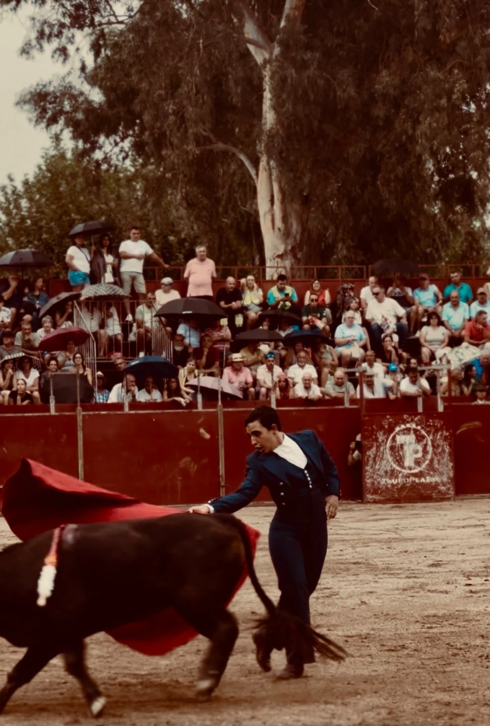 Imagen 3