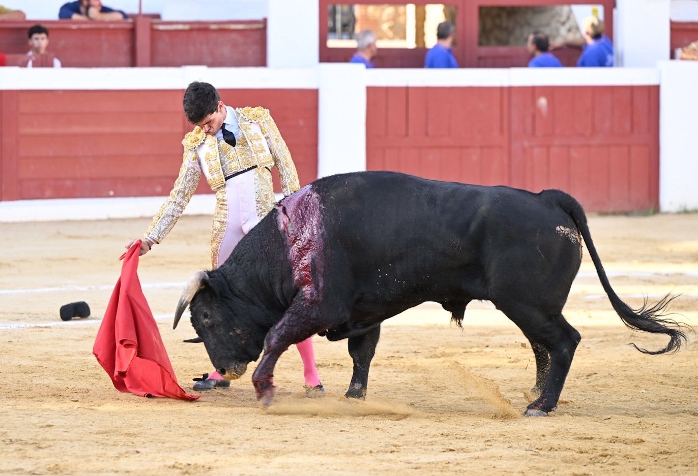 Imagen 1