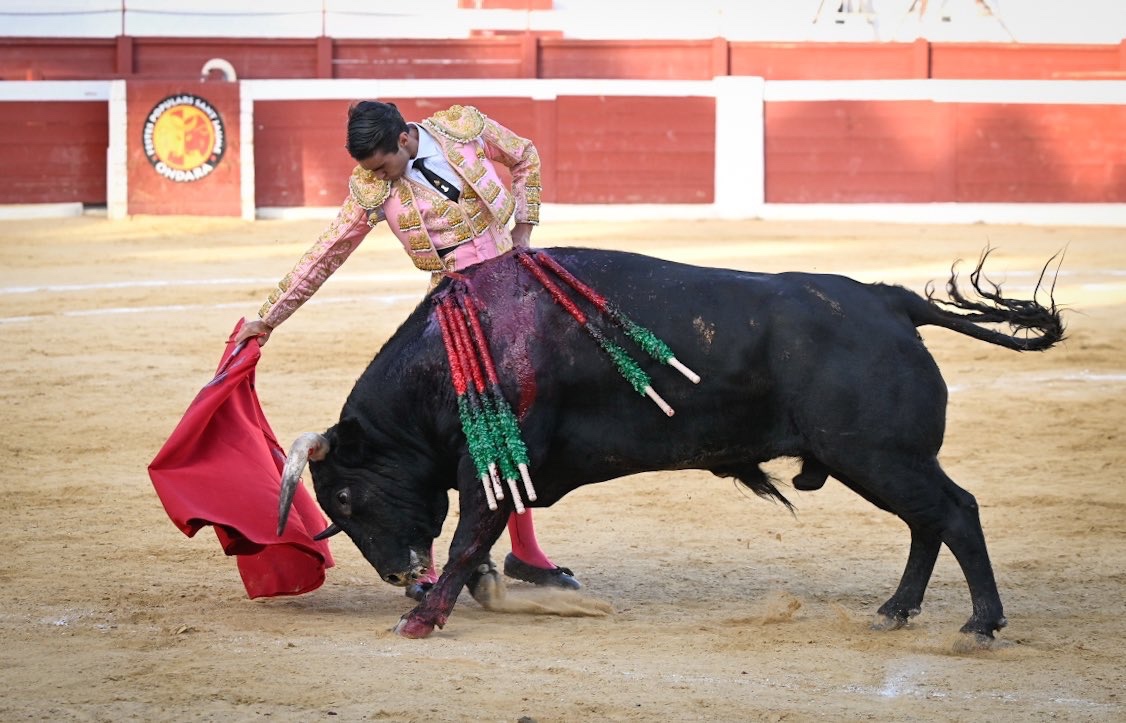 Imagen 5