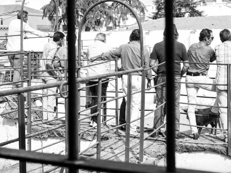 Definido el orden de lidia para la corrida mixta de Carlos Núñez en Cabra