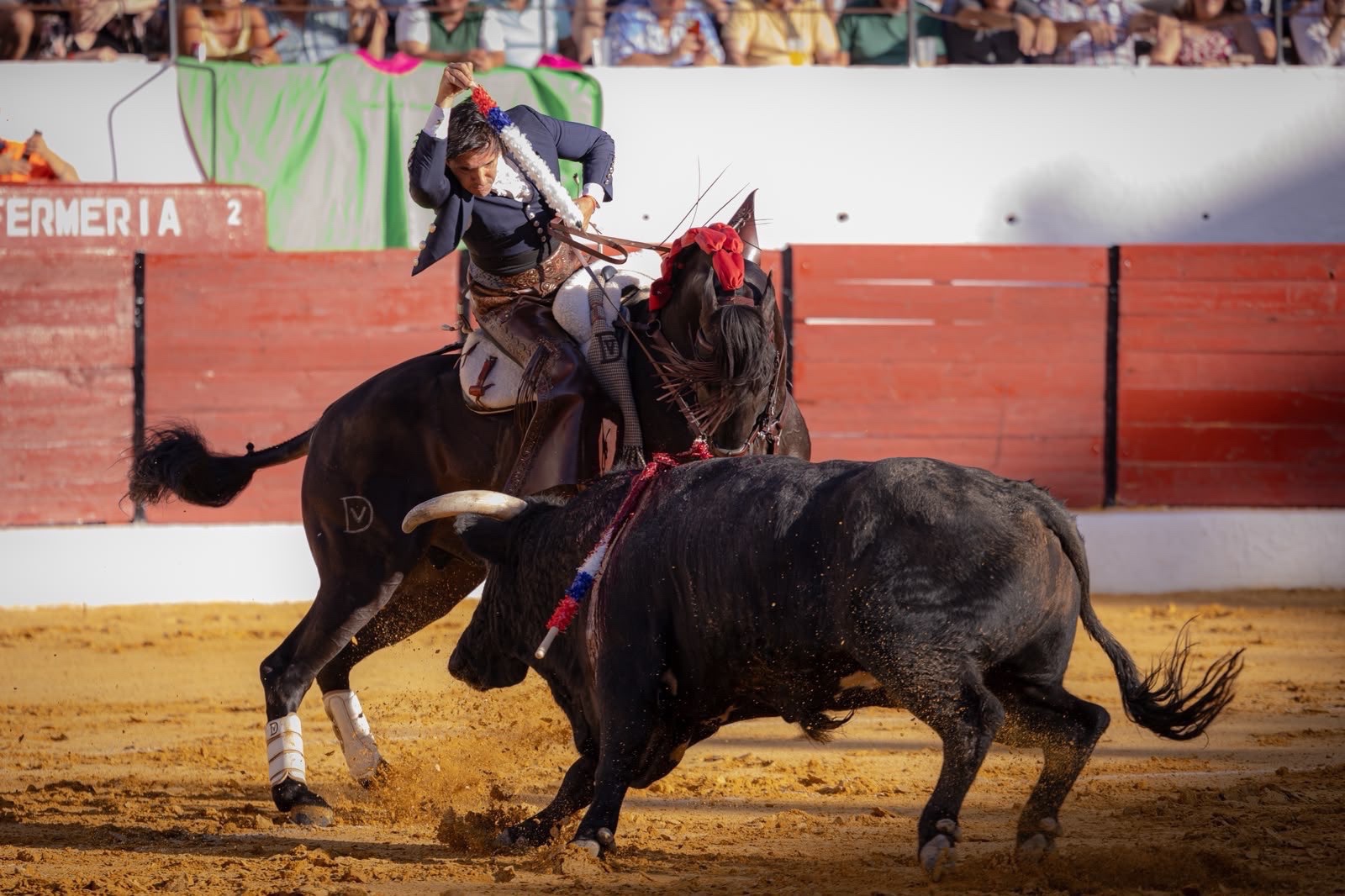 Imagen 2