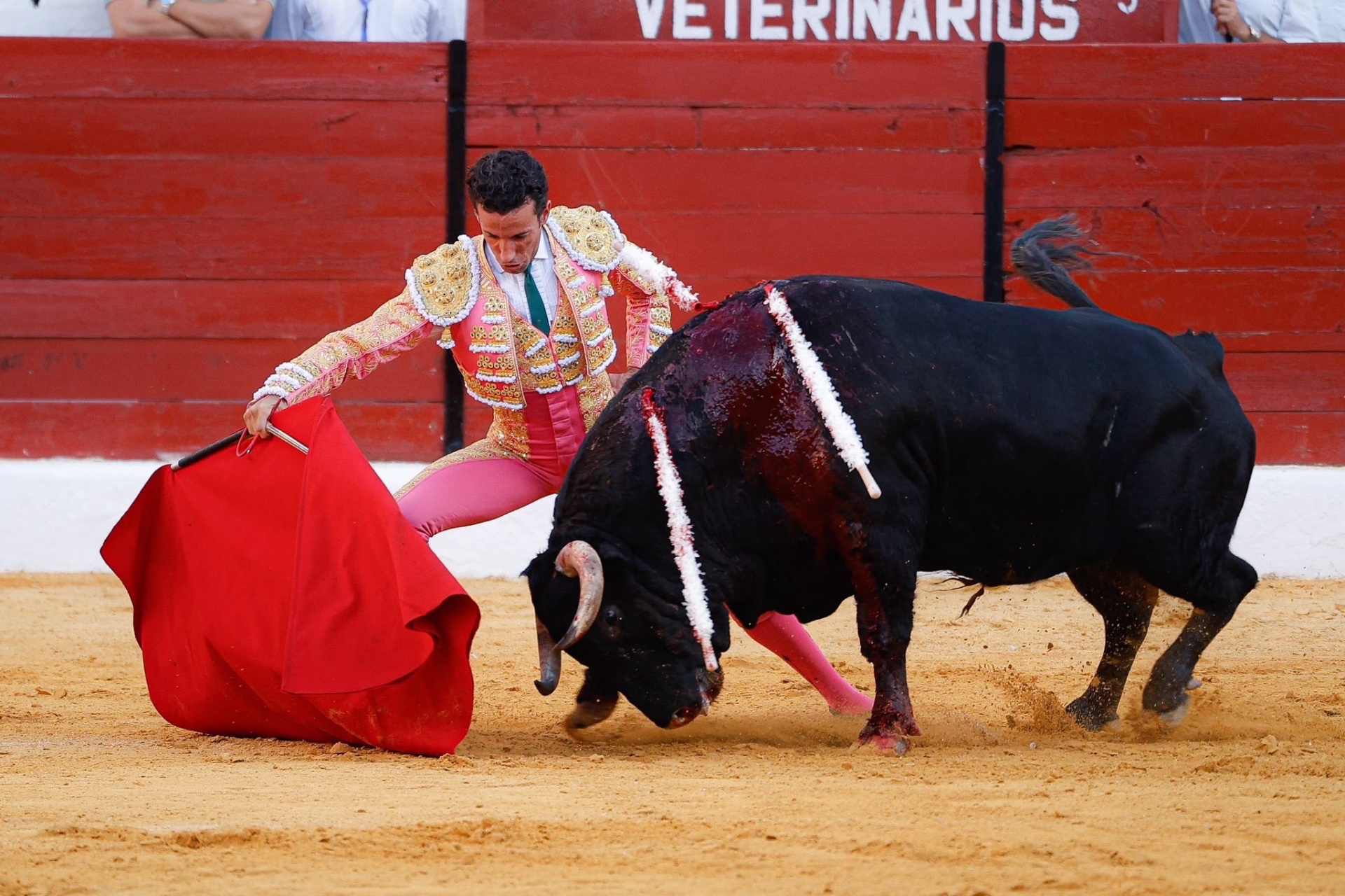 Imagen 6