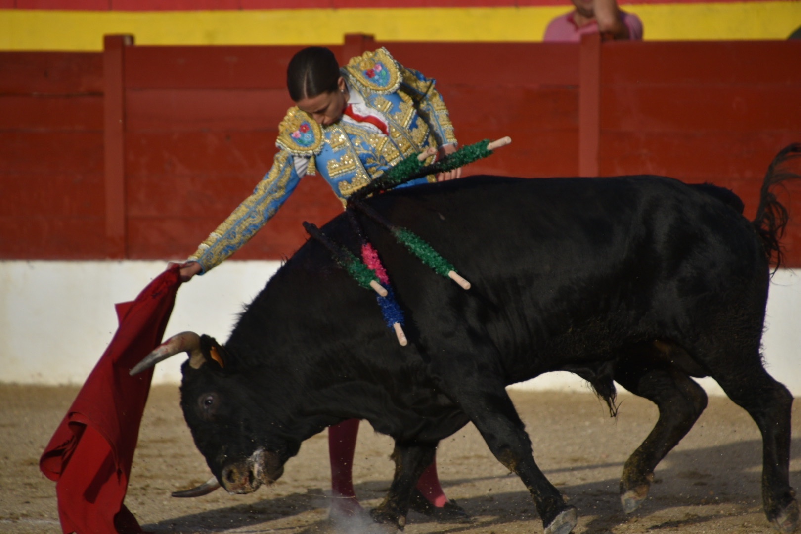Imagen 1