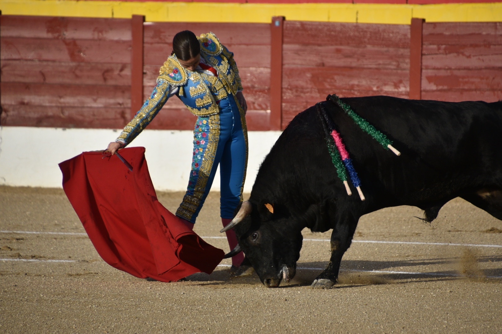 Imagen 2