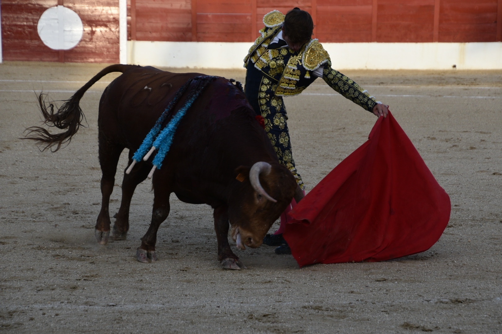 Imagen 3