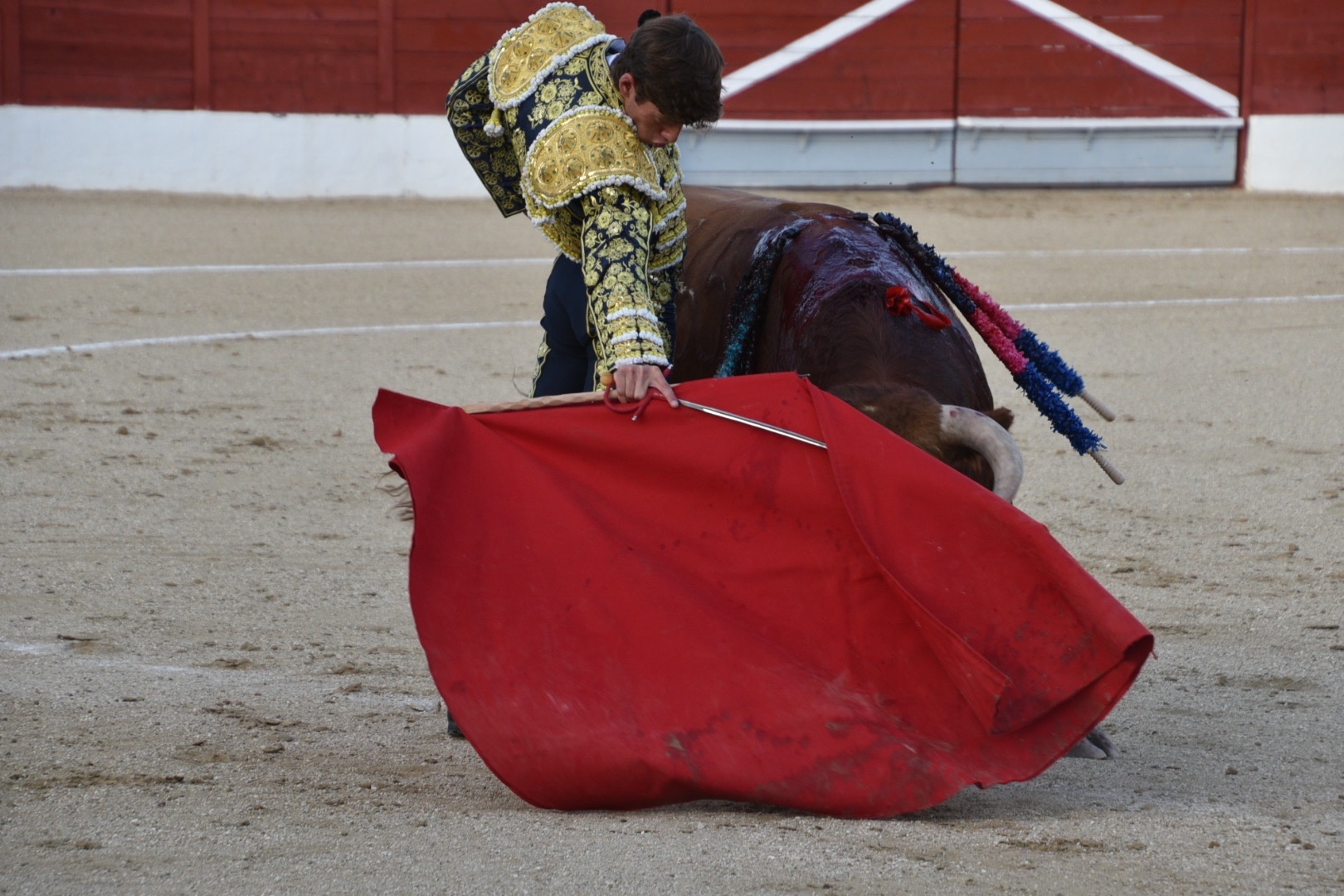 Imagen 4