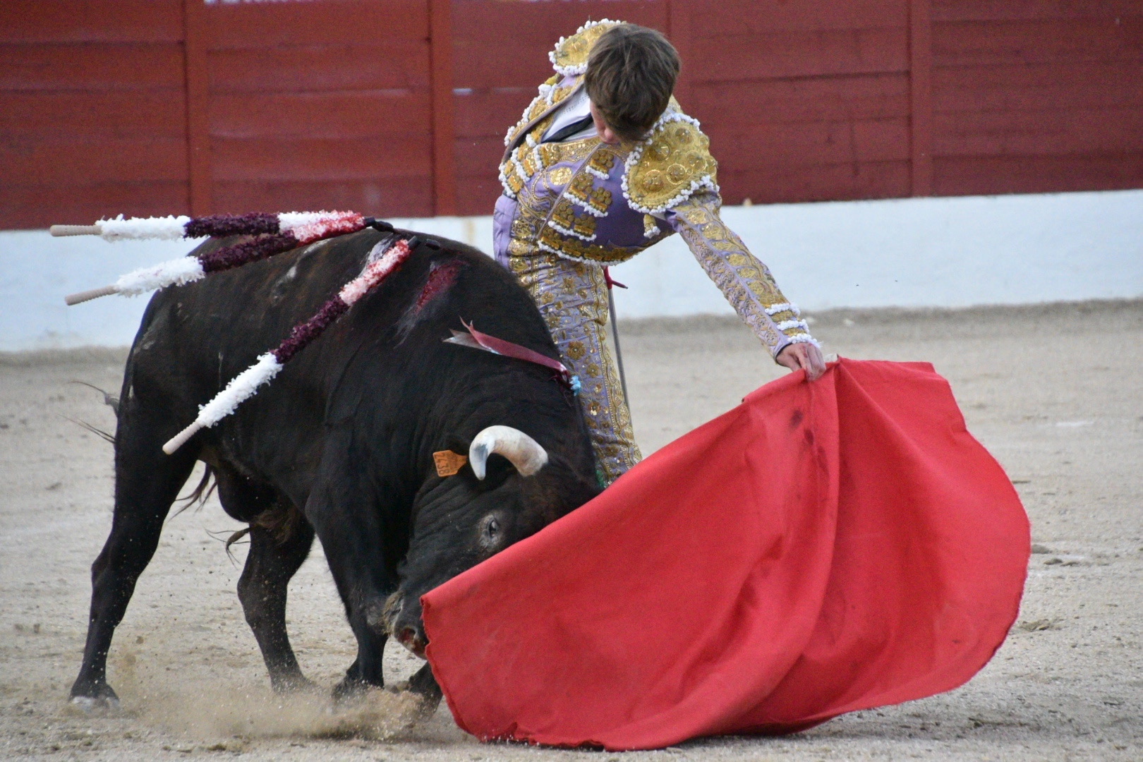 Imagen 5