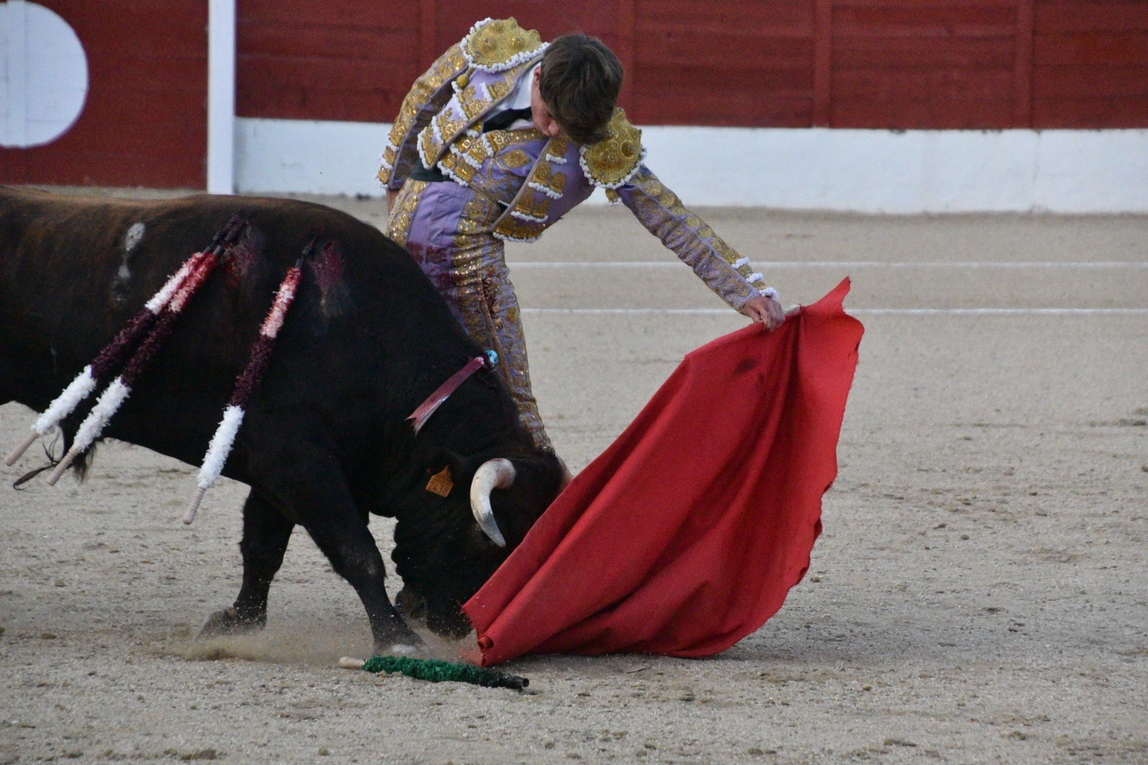 Imagen 6