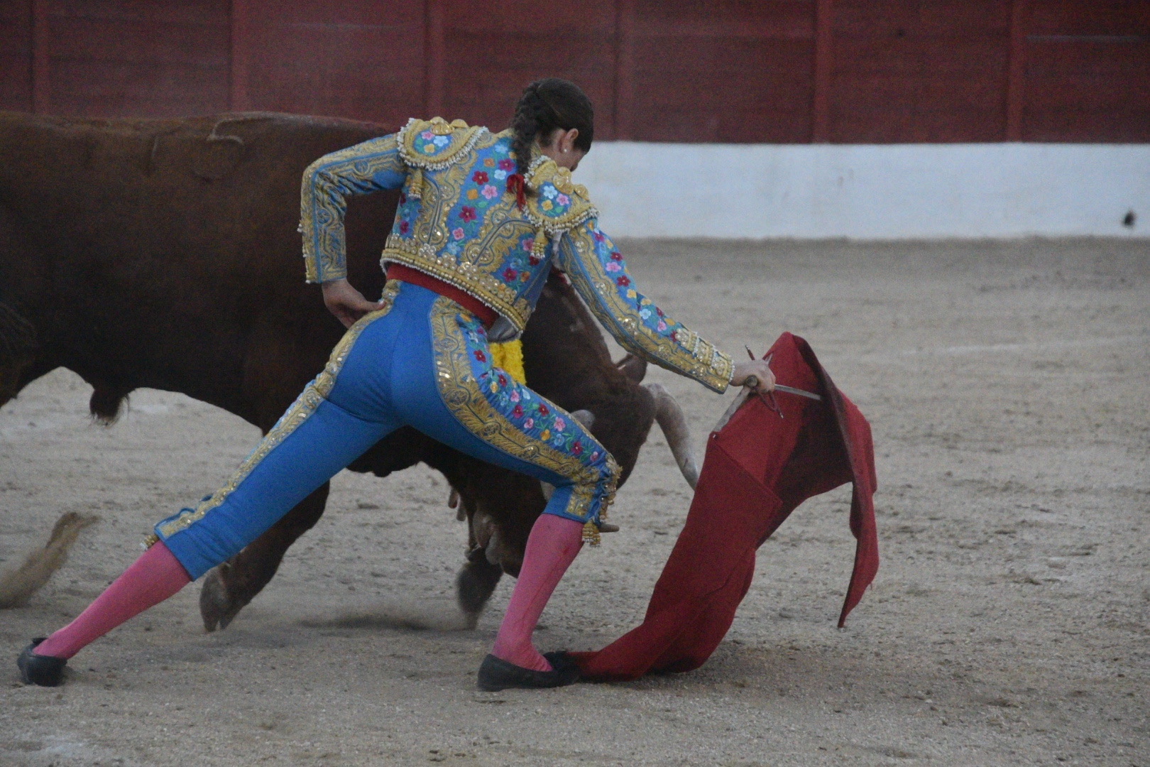 Imagen 7