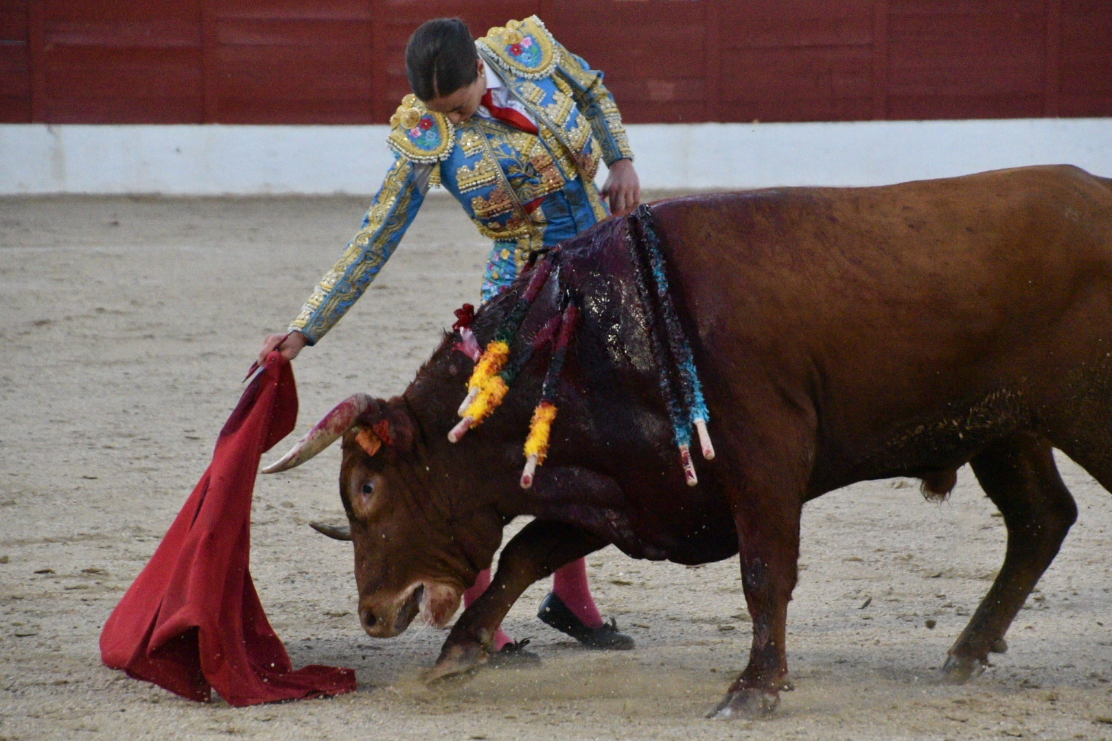 Imagen 8