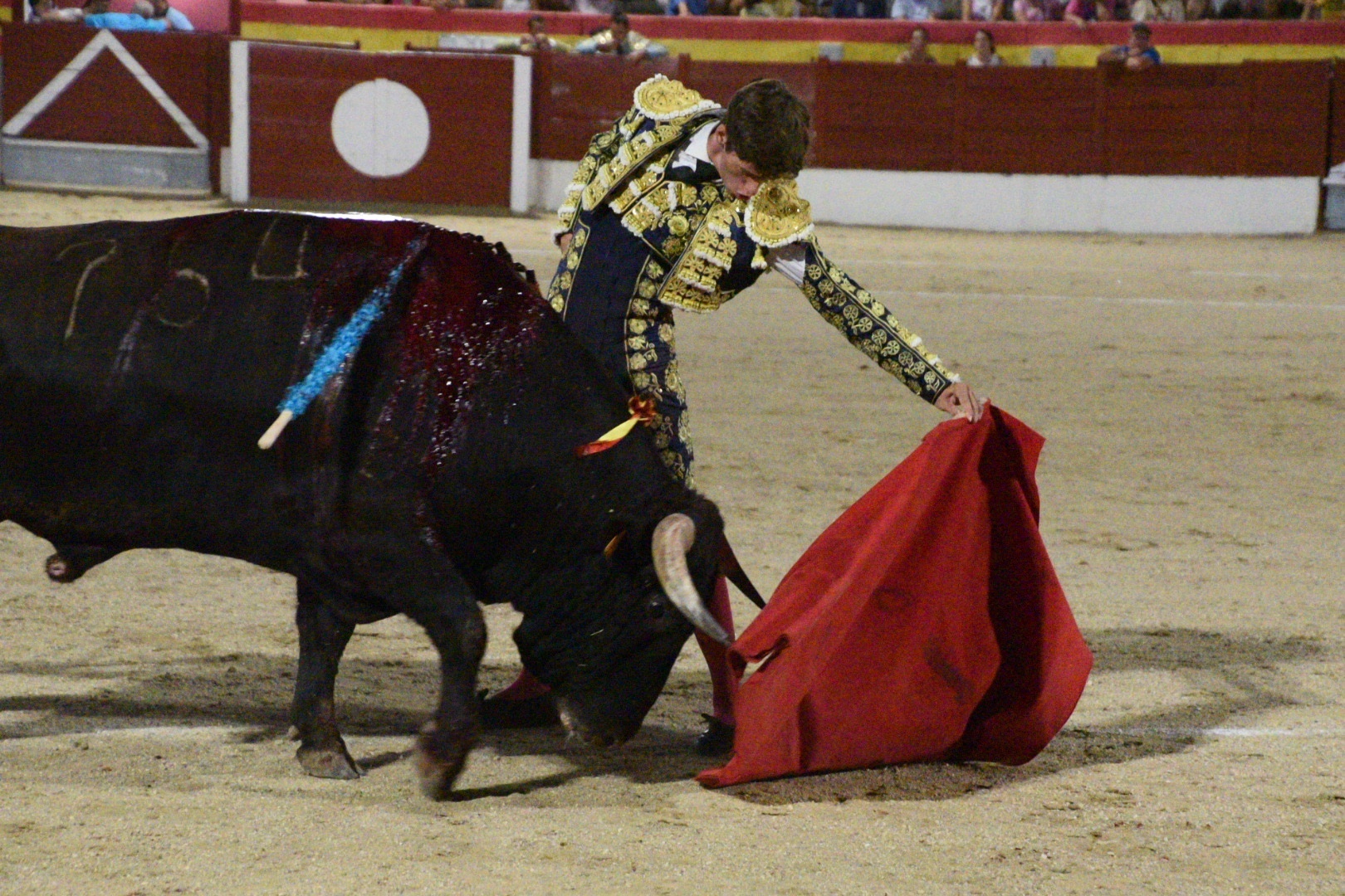 Imagen 9