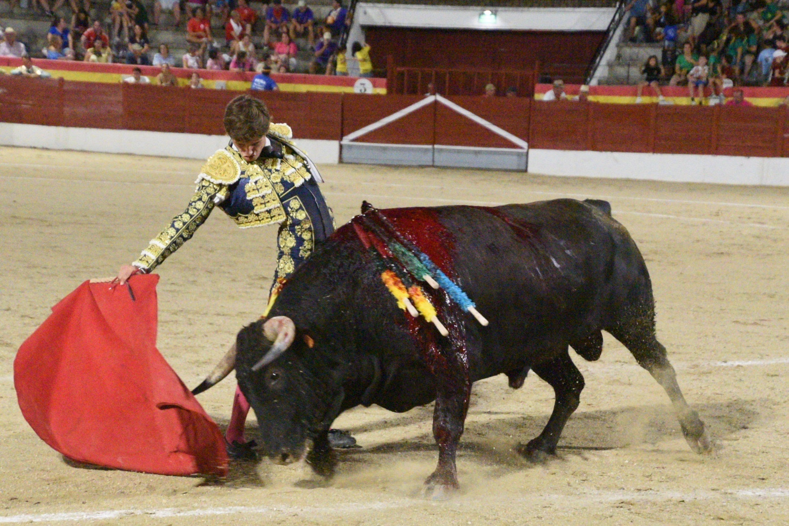 Imagen 10
