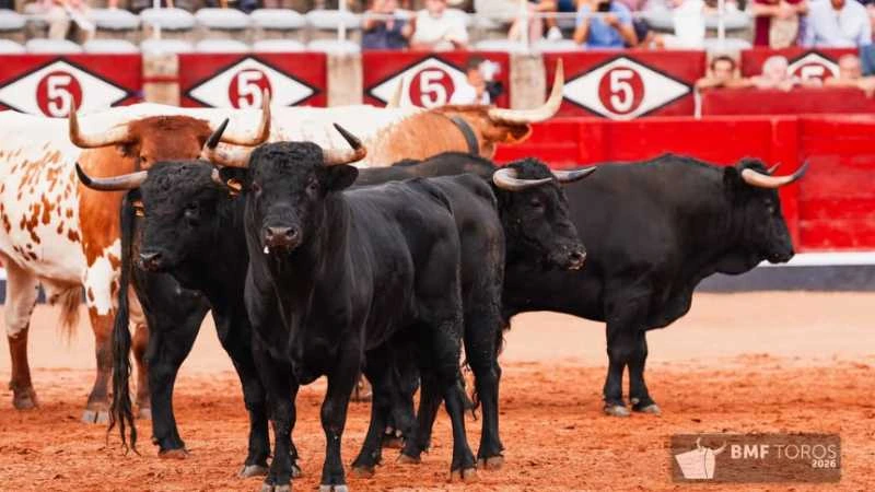 Montalvo levanta el telón de La Glorieta con una corrida de bandera