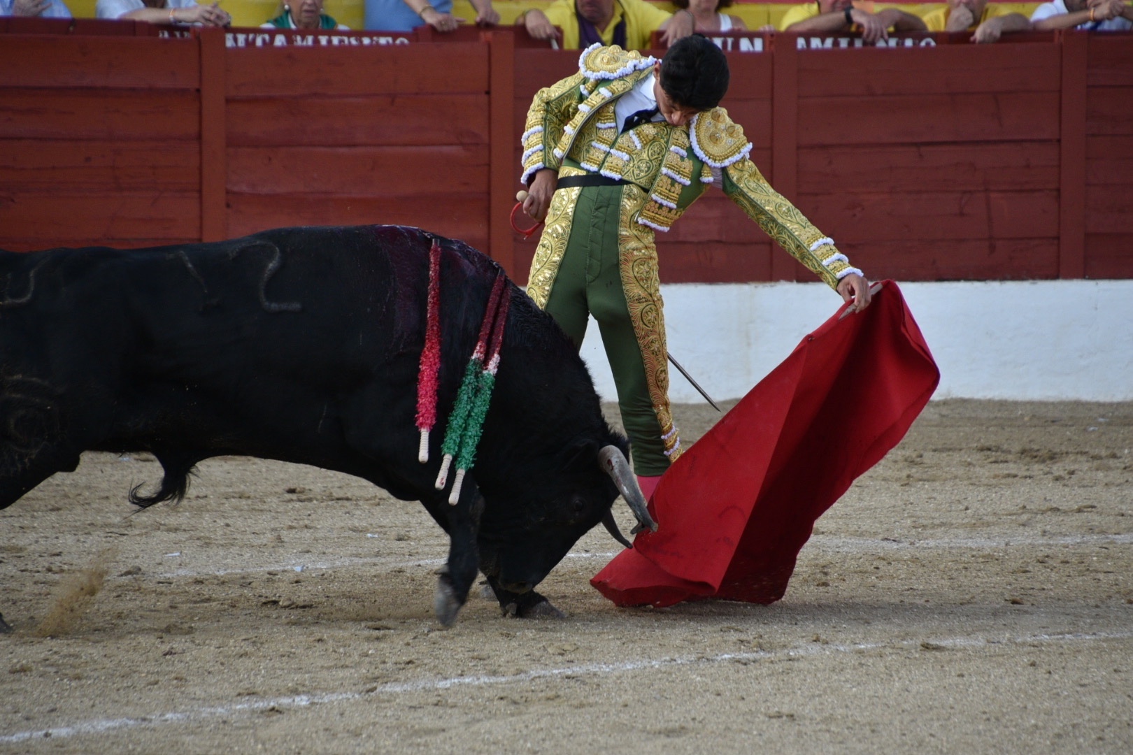 Imagen 2