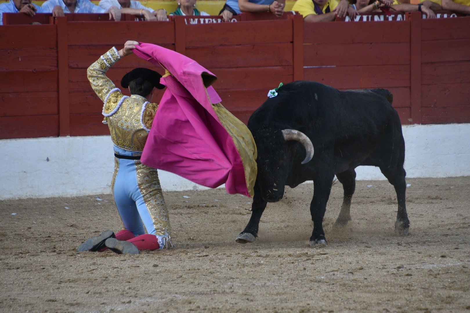 Imagen 3