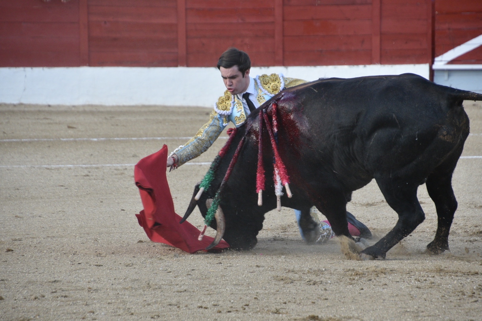 Imagen 4